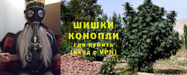 дурь Семёнов