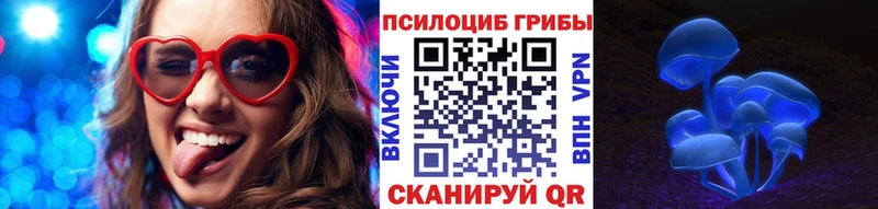 Псилоцибиновые грибы Magic Shrooms  наркота  Зерноград 